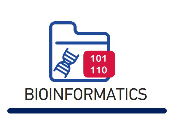 Bioinformatics
