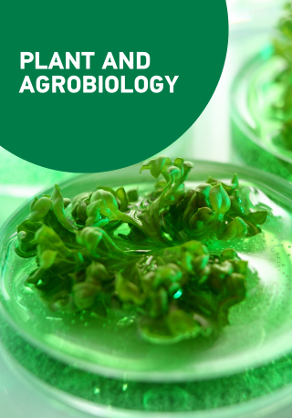 SBS Research Pillar Key Visual for Plant and Agrobiology Mobile Version
