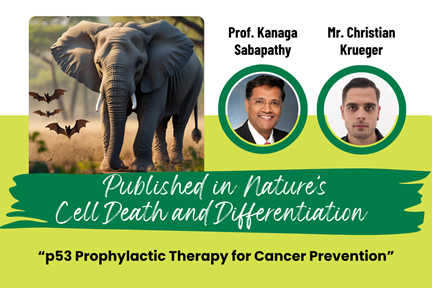 SBS Researchers Kanaga Sabapathy and Christian Kruger on their paper published in Nature's Cell Death and Differentiation