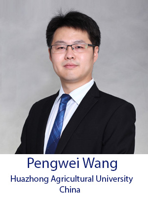 Pengwei Wang