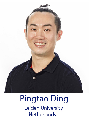 Pingtao Ding