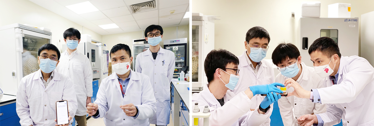 NTU Singapore scientists develop diagnostic test that can detect the virus that causes COVID-19 even when it mutates.