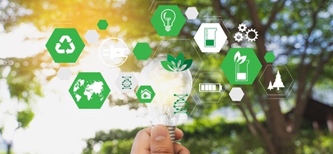 EEE - Second Major in Sustainability