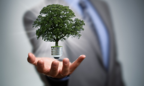 Man hand holds light bulb with a tree