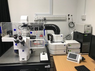 Zeiss Live Cell Observer II