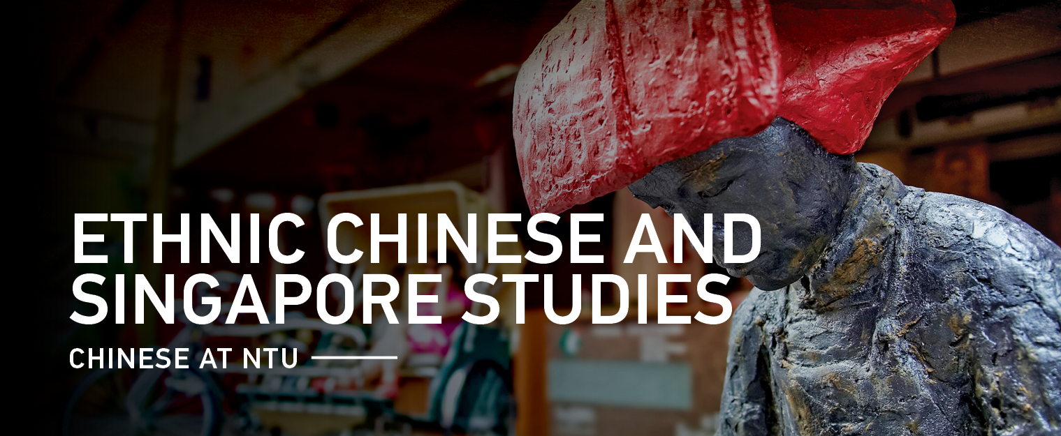 Ethnic Chinese and Singapore Studies
