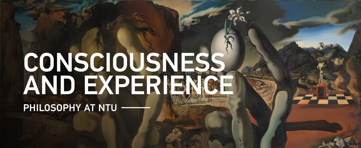 CONSCIOUSNESS AND EXPERIENCE thumbnail