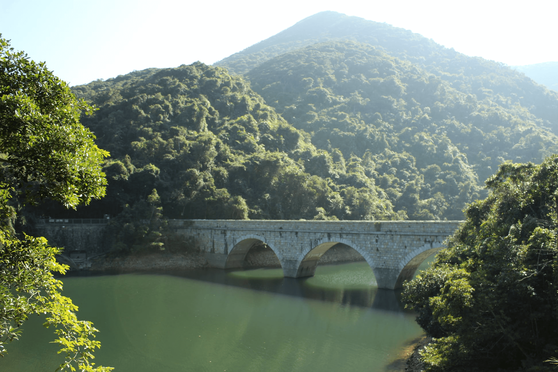 Env Hum - 2025-11-20