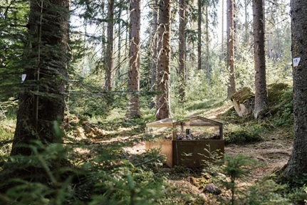 Terike Haapoja, Inhale-Exhale in Periferia Exhibition, Hyytiälä Forest Station, Finland, 2023. © Terike Haapoja. © Photo: Krista Ylinen