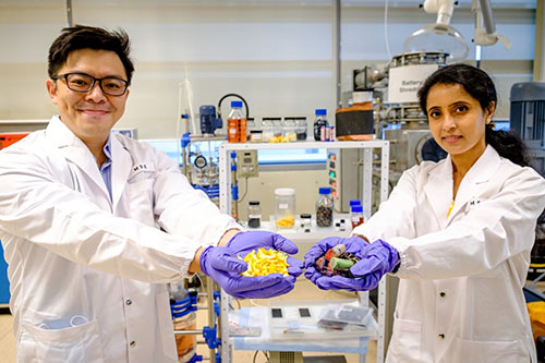 NTU scientists turn old batteries into new ones with orange peel – Professor Madhavi Srinivasan & Assistant Professor Dalton Tay Chor Yong