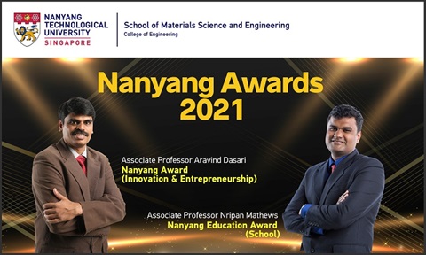 Nanyang Awards 2021