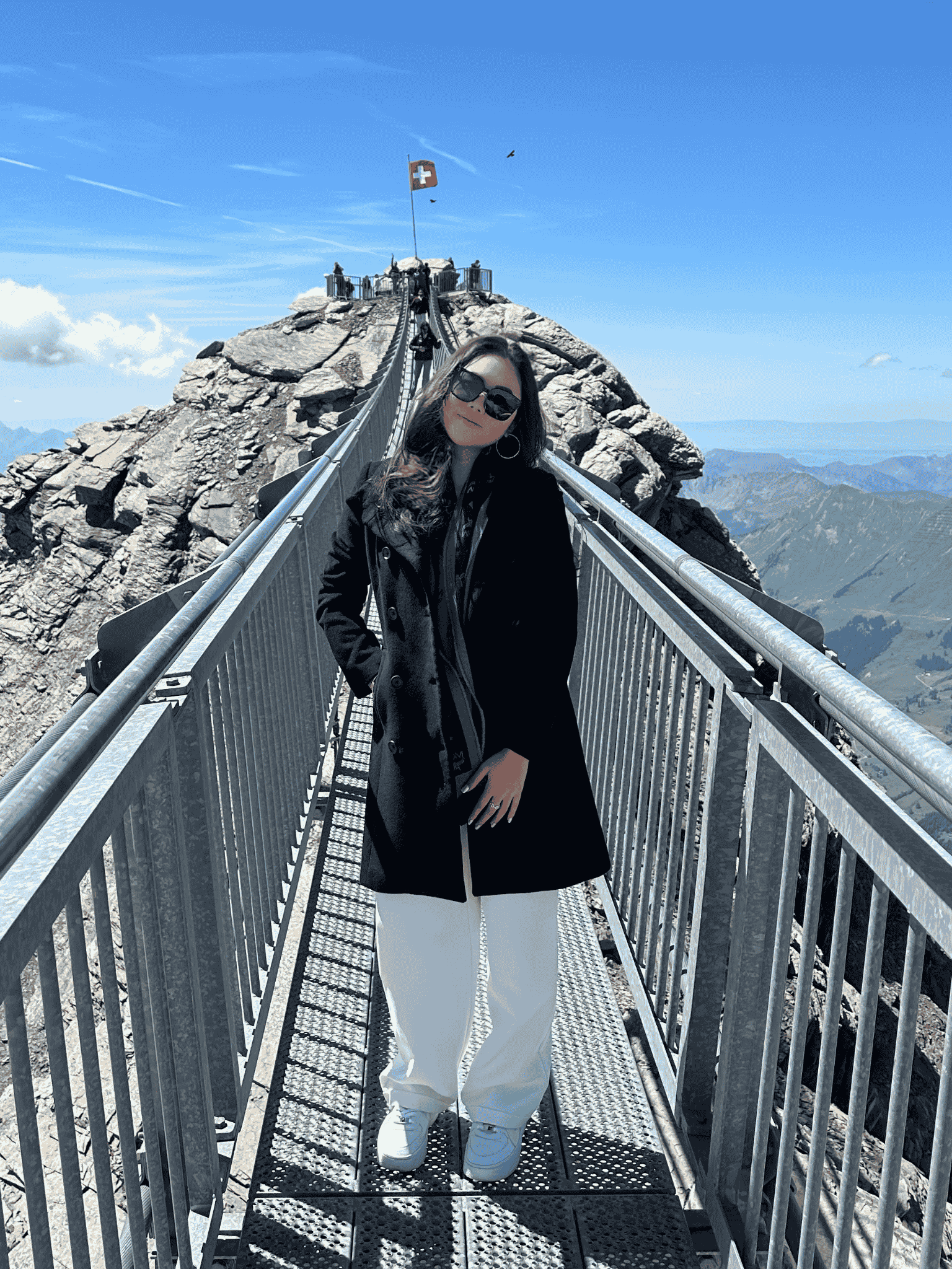 NTU MSE PhD student_Ms. Ho Su Hian