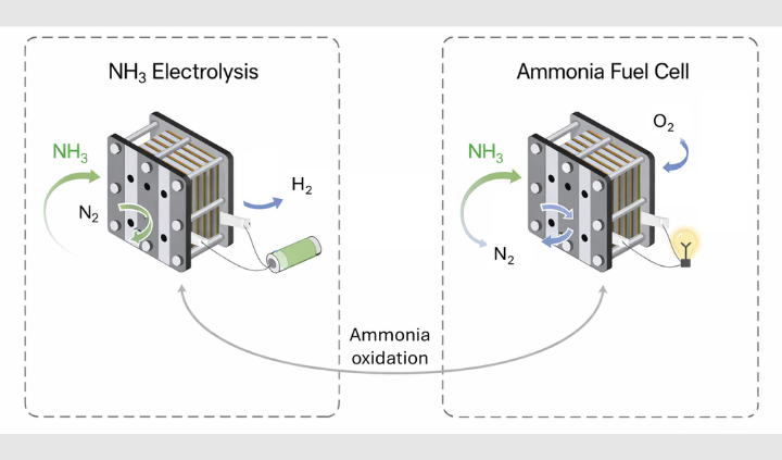 Ammonia Electrolysis and Fuel Cell Ammonia Electrolysis and Fuel Cell