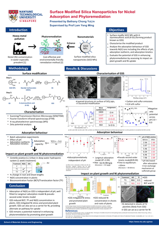 Surface Modified Silica Nanoparticles for Nickel Adsorption and Phytoremediation