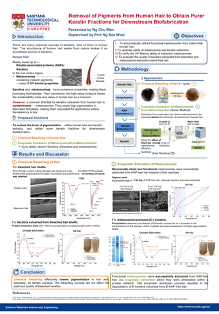 Removal of Pigments from Human Hair to Obtain Purer Keratin Fractions for Downstream Biofabrication