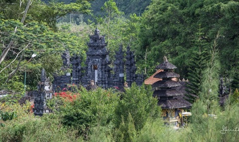 ESPP Structured Resized