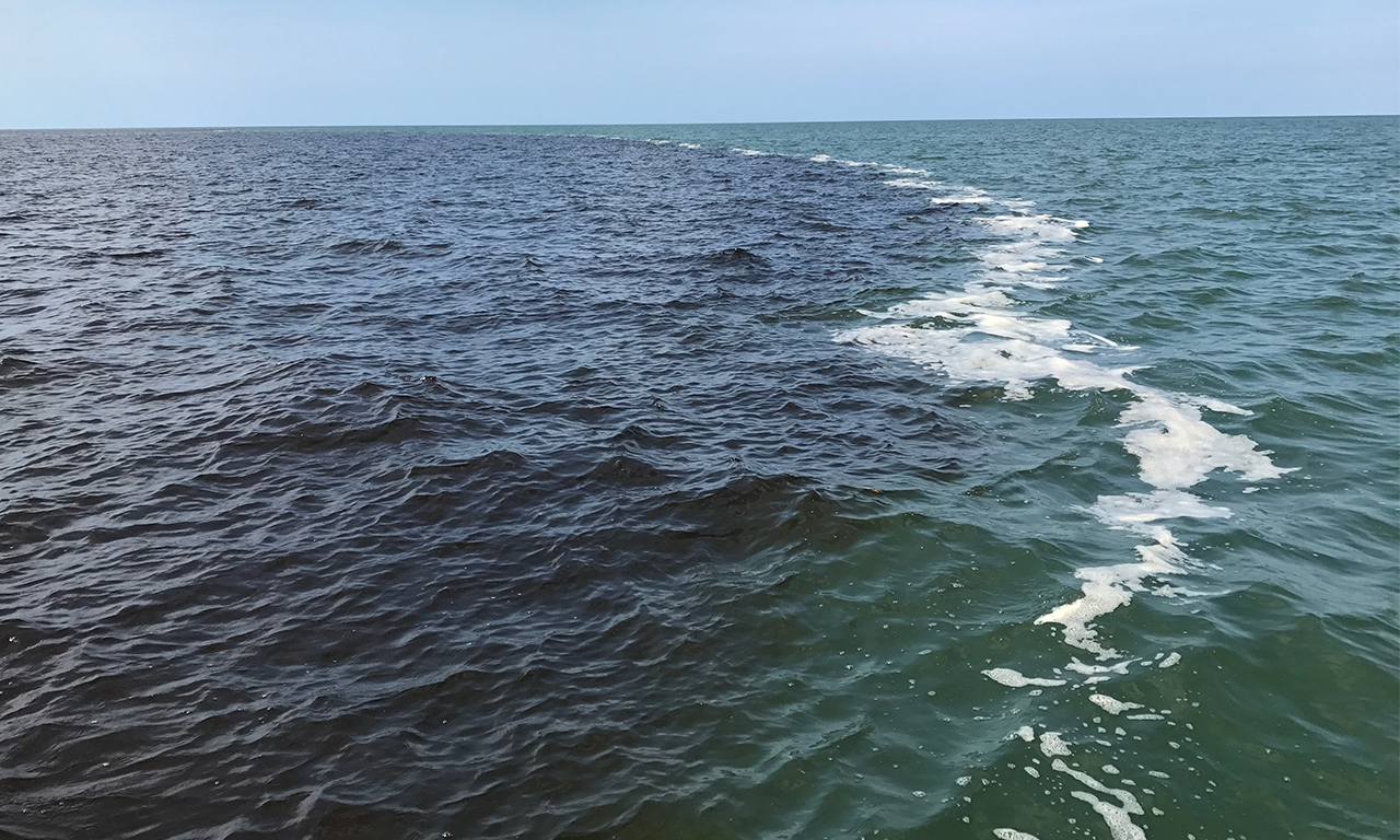 19-year satellite data series reveals increase in carbon leaching from  peatlands into coastal ocean | The Asian School of the Environment | NTU  Singapore