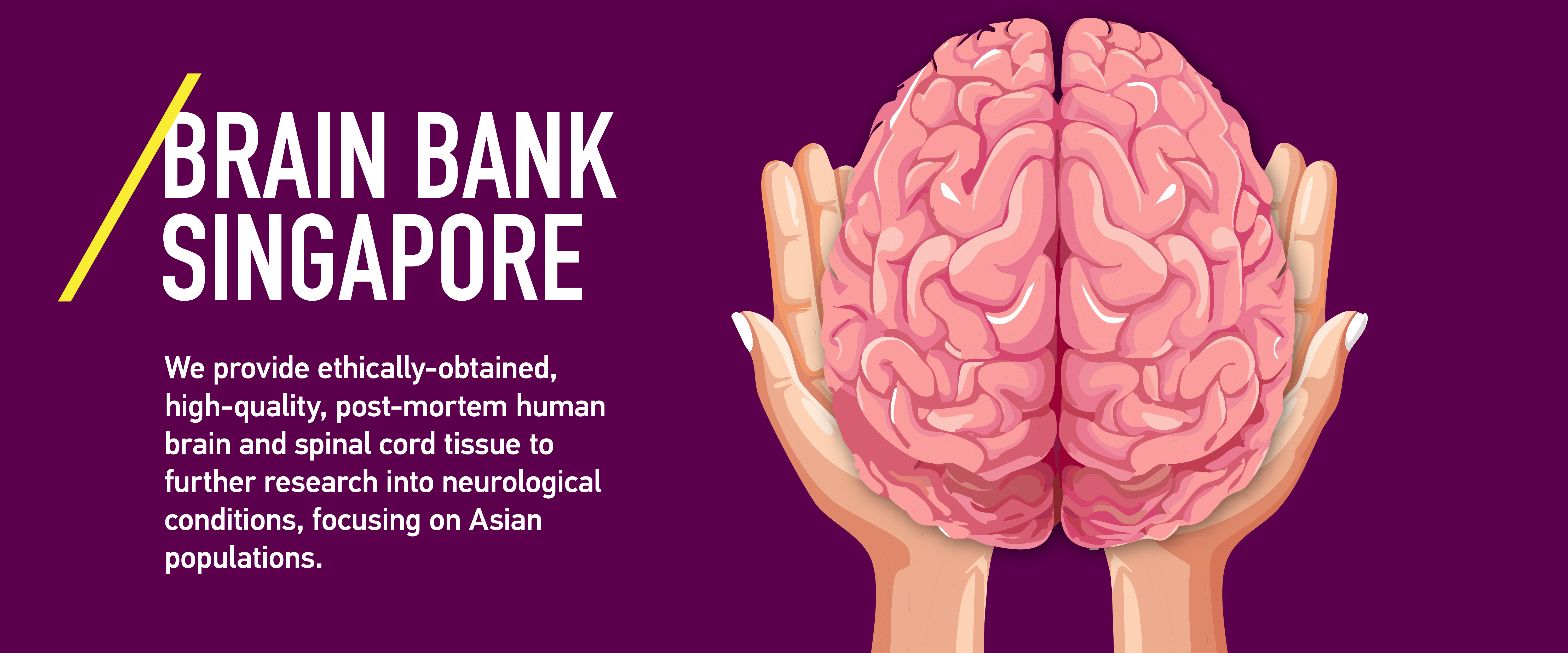 Brain Bank Banner