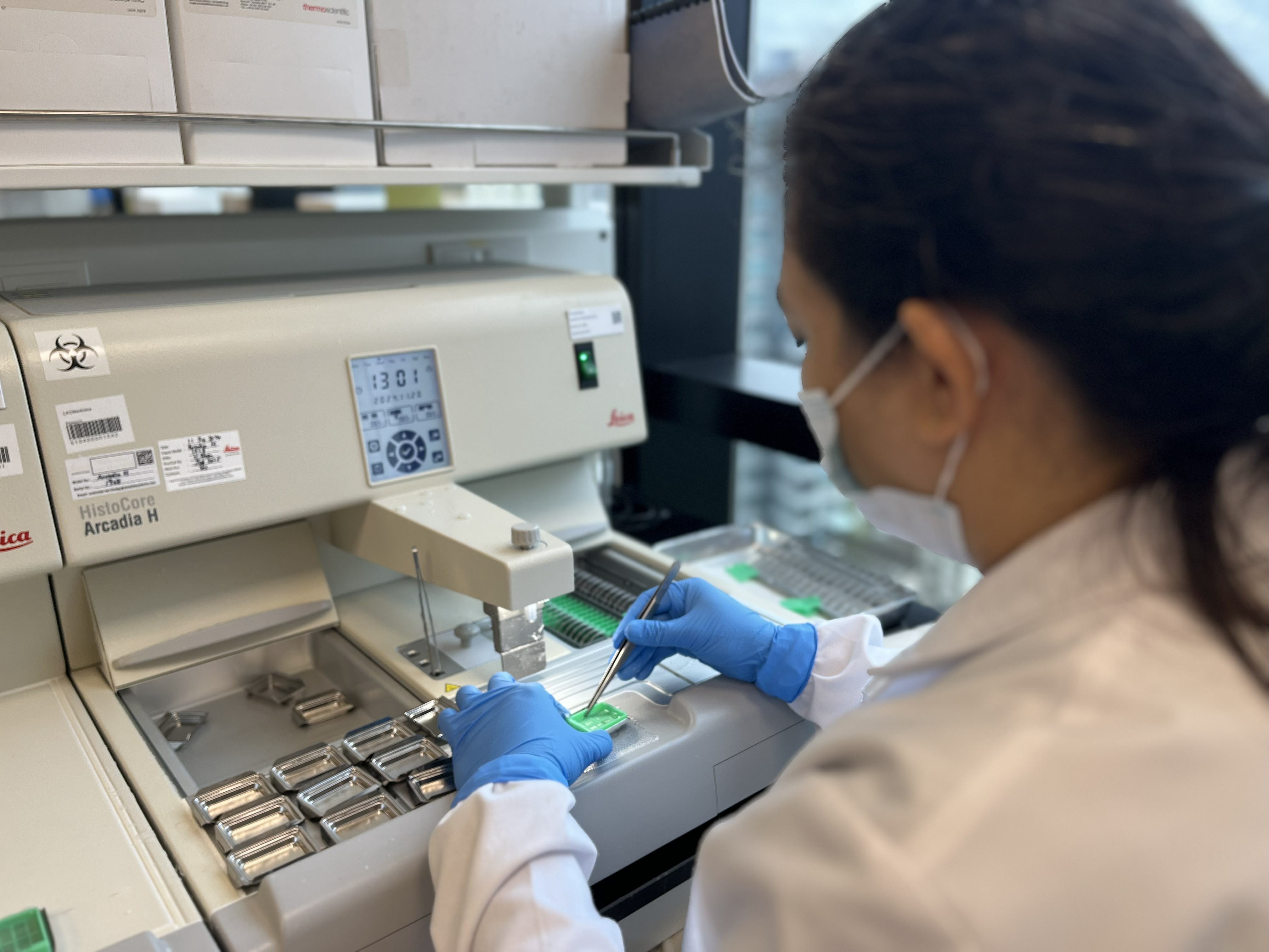 Brain Bank Singapore