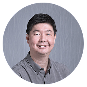 Prof Dion Goh Hoe Lian