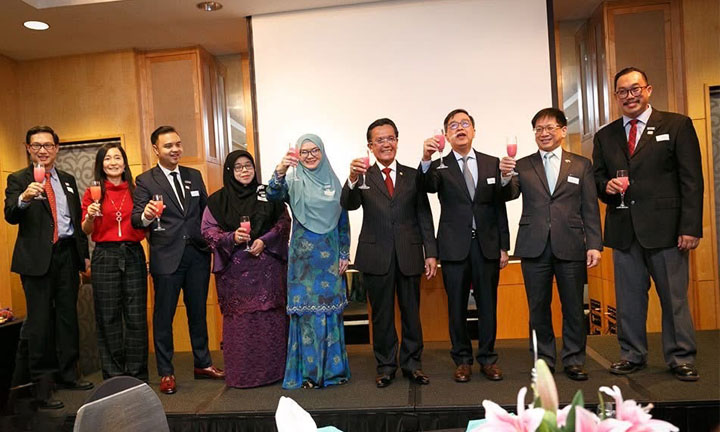 Brunei Term Election