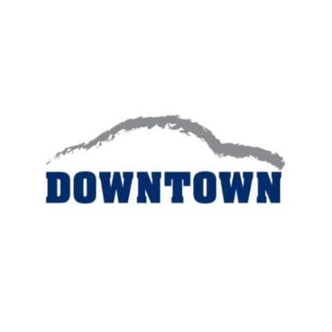 Downtown Travel Services