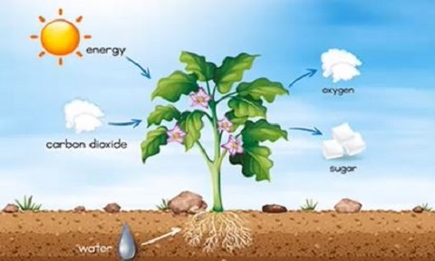 Prof Lee Hiang Kwee's Discovery Science Seminar