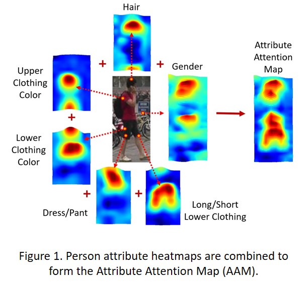 Figure 1. Person attribute heatmaps are combined to form the Attribute Attention Map (AAM).