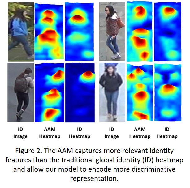 Figure 2. The AAM captures more relevant identity features than the traditional global identity (ID) heatmap and allow our model to encode more discriminative representation.
