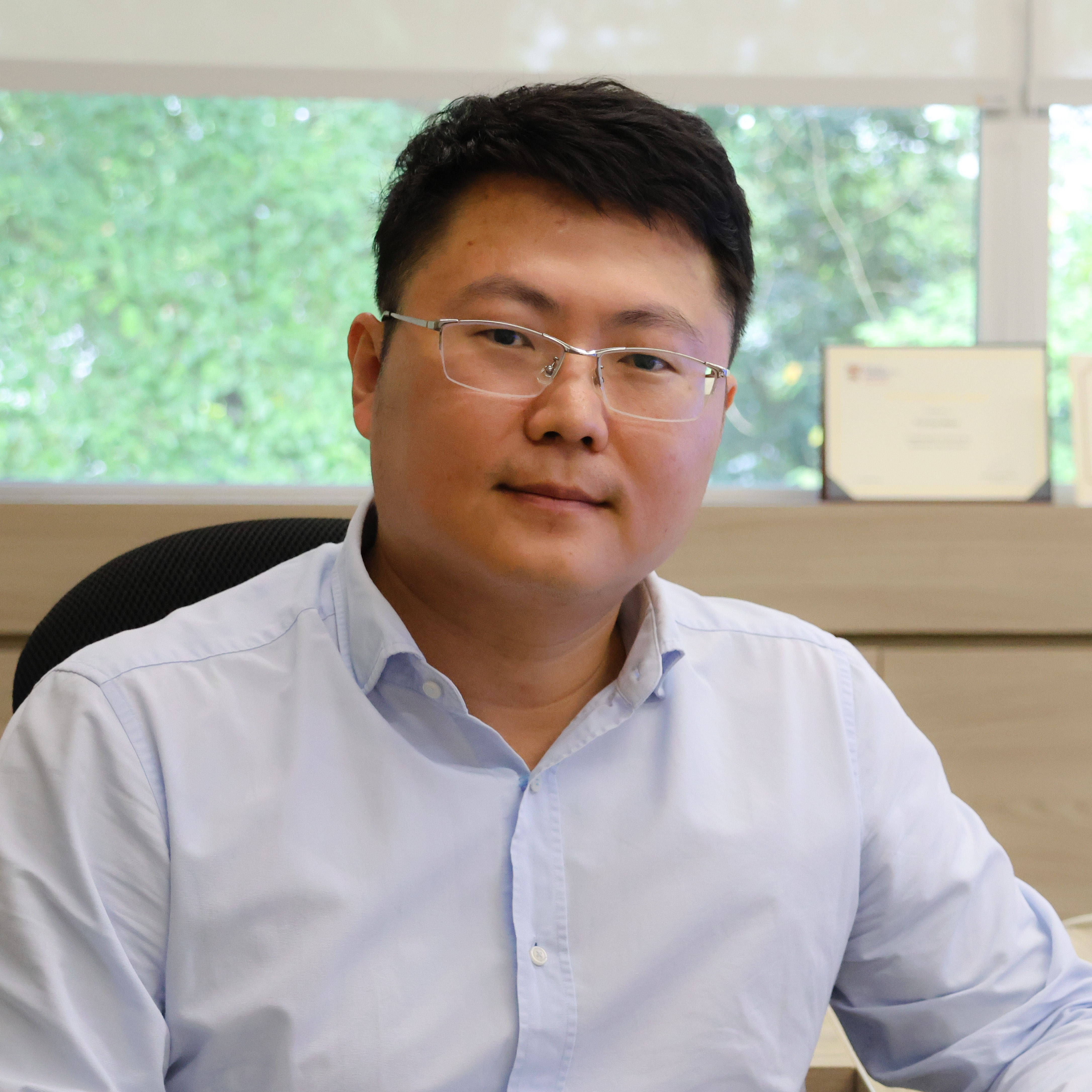 Prof Gao Weibo Electrical and Electronic Engineering Chair