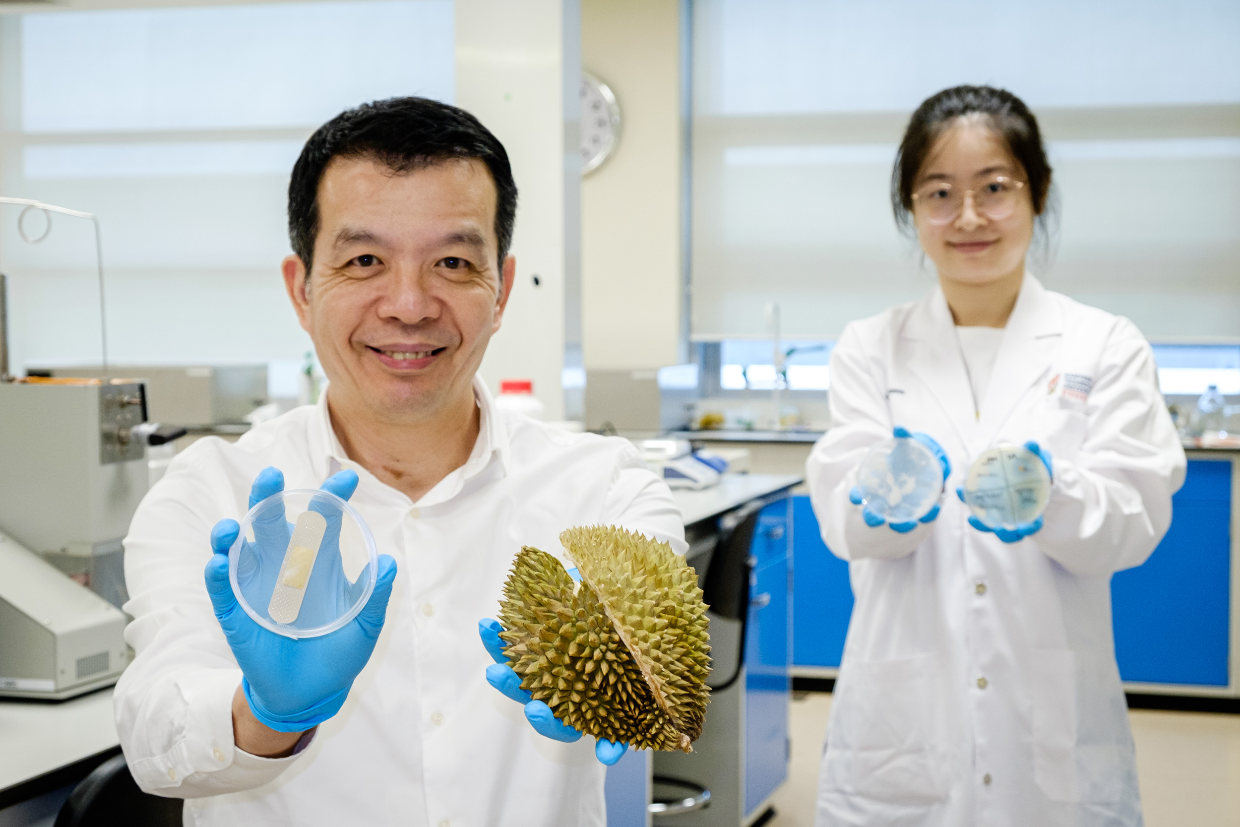 Prof William Chen (left) holding up a hydrogel bandage made from durian with PhD student Cui Xi