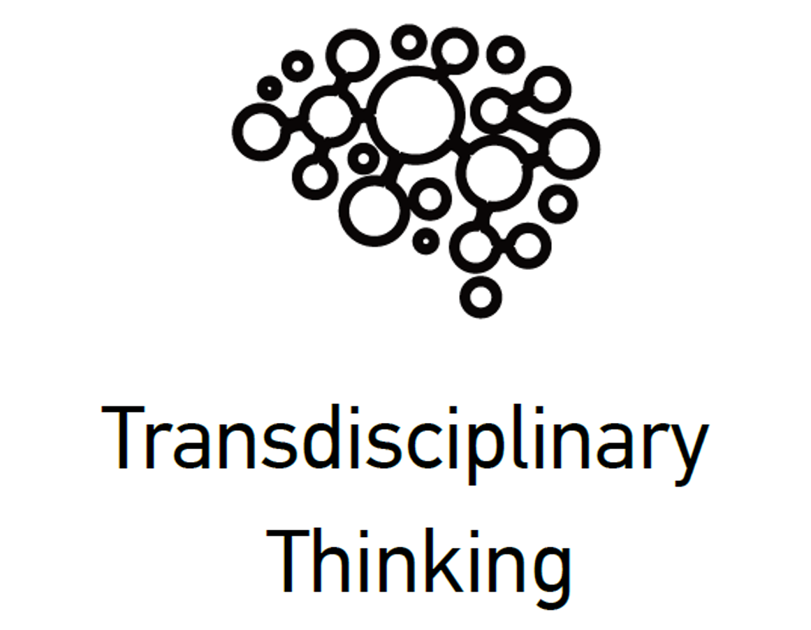 Transdisciplinary Thinking