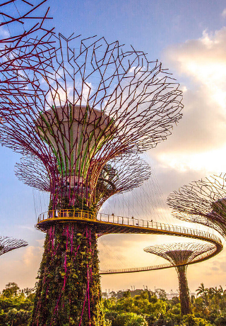 Supertree Grove, Gardens by the Bay, Singapore