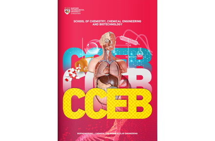 CCEB UG Programme Brochure cover