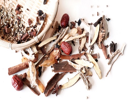 Introductory Course in Traditional Chinese Medicine