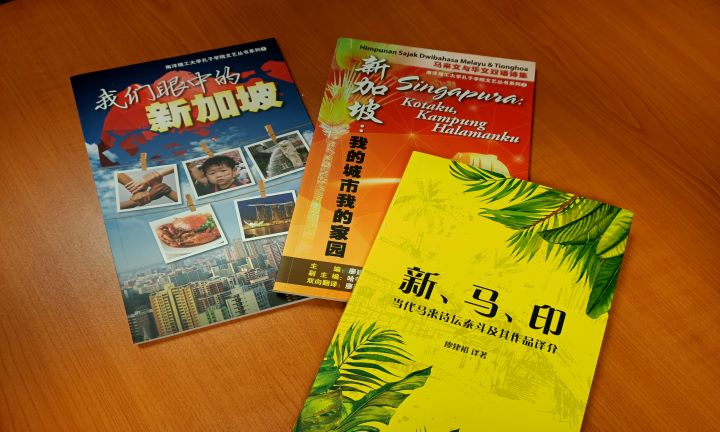 南洋理工大学孔子学院文艺丛书由南洋理工大学孔子学院基金资助出版。该基金成立于2007年，宗旨为提升与新加坡的华文教学及学术研究有关的整体文化资源的水平，并促进我国与世界各地的华裔及其他民族的文化和学术交流。文艺丛书系列包括《我们眼中的新加坡》、《新加坡：我的城市我的家园》等书籍。