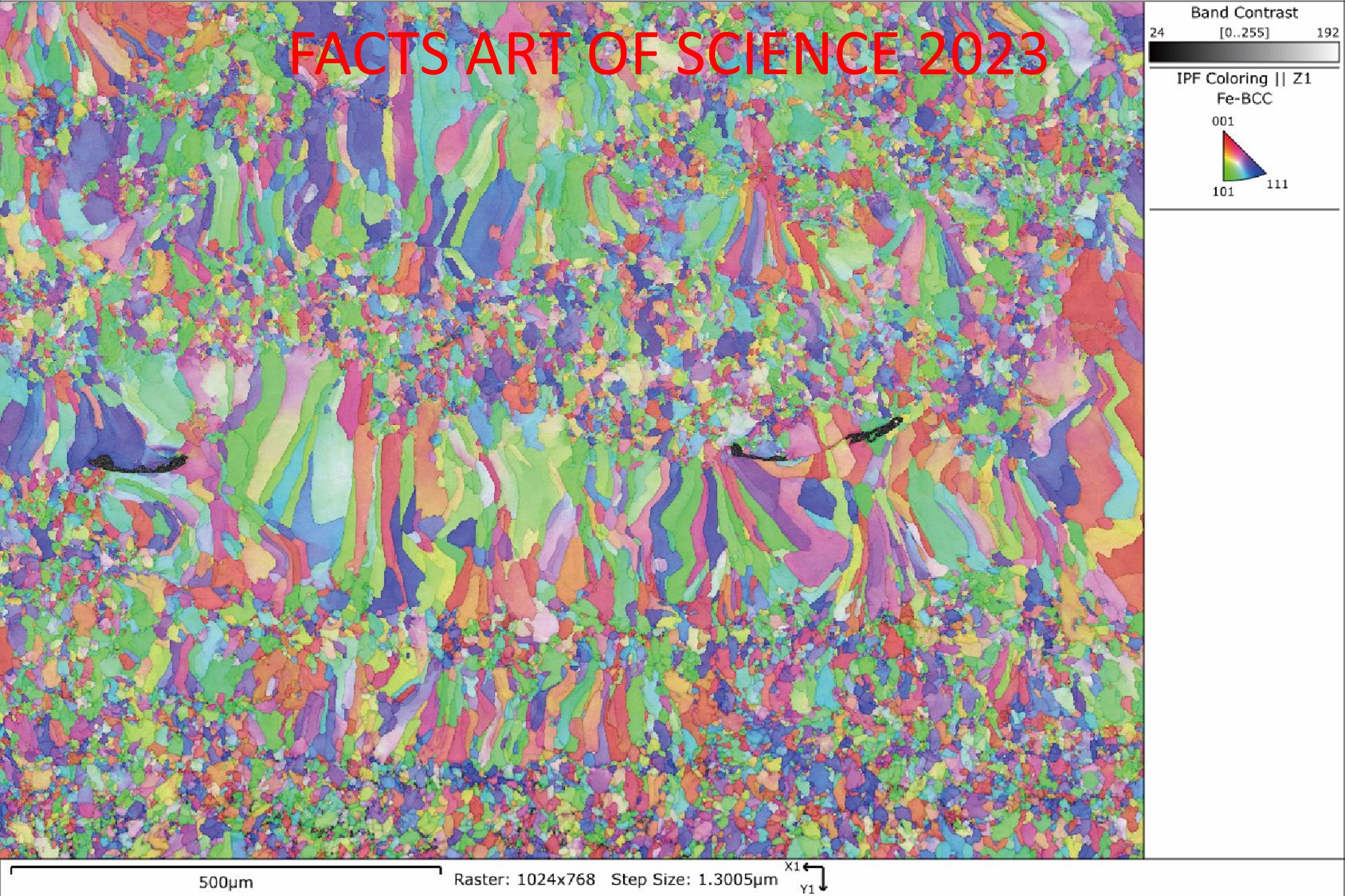 scientifc consolation prize 2