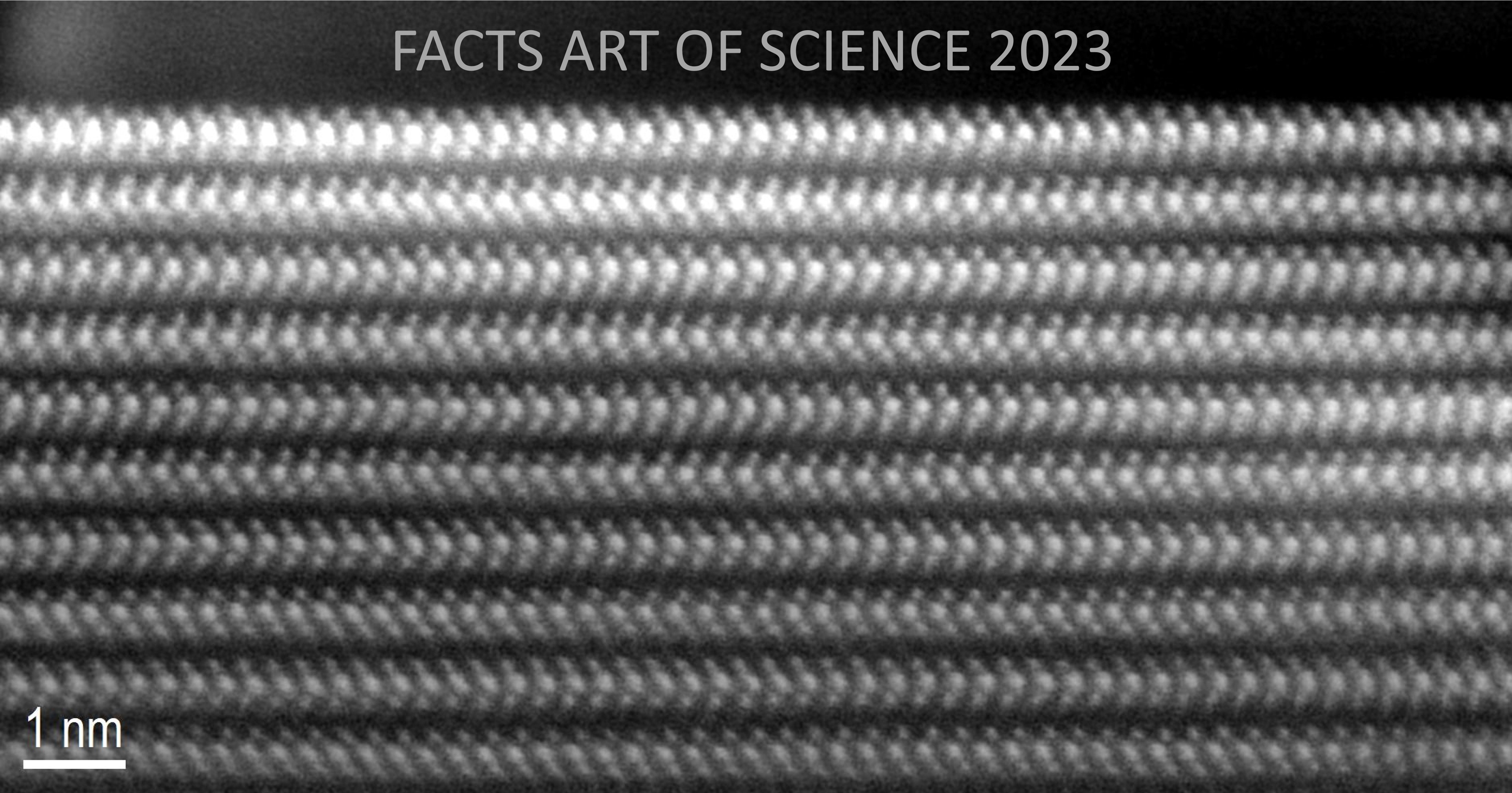 scientifc consolation prize 7