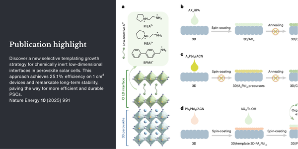 Growth of perovskite solar cells Nature Energy 10 (2025) 991