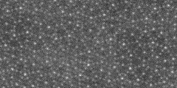 HAADF image of a quasicrystal