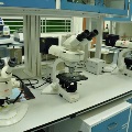 facts_optical-microscope-2_