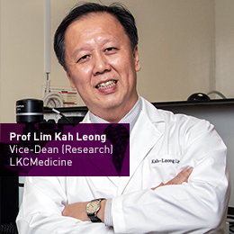 Prof Kah Leong