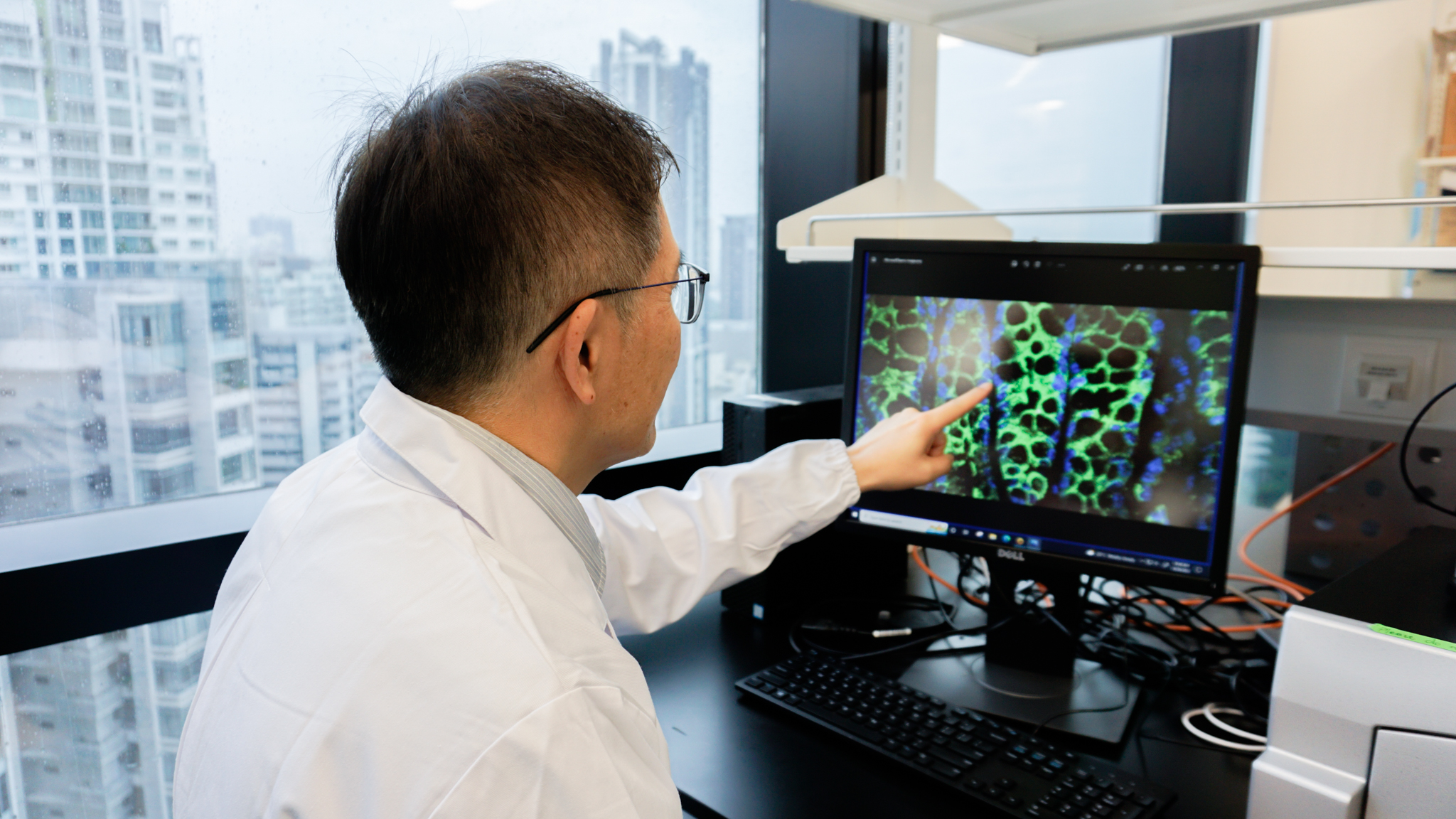 LKCMedicine Centre for Microbiome Medicine (CMM)