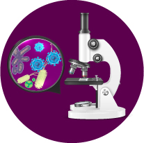 Microbiome Research Programme