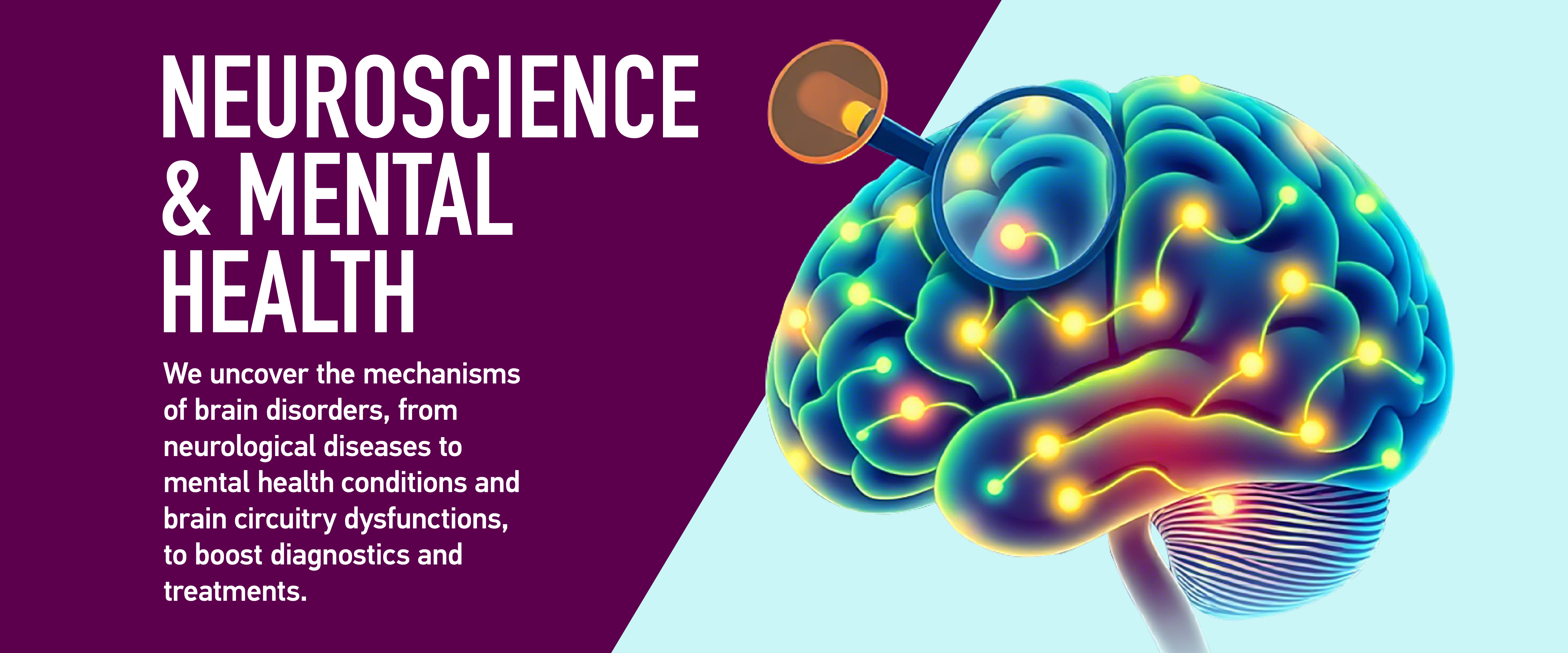 Neuroscience & Mental Health | Lee Kong Chian School of Medicine