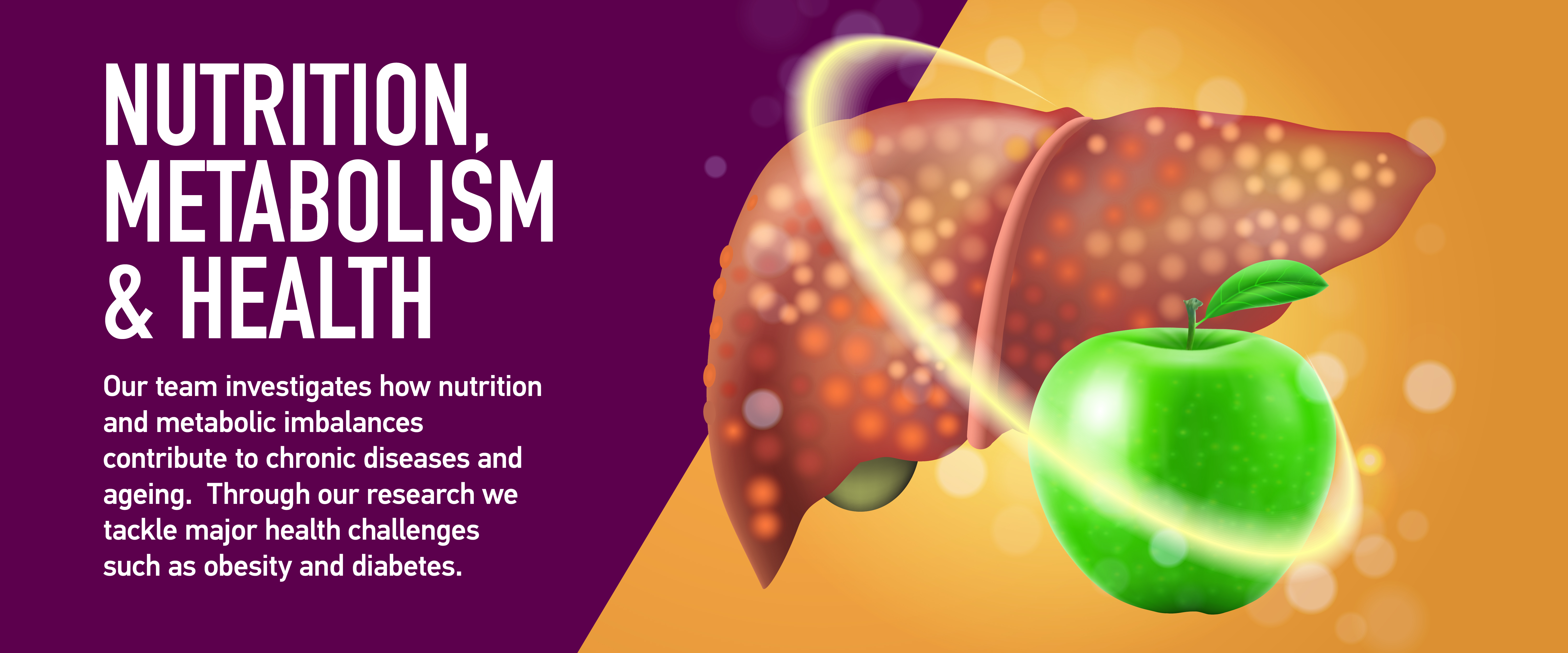 Nutrition, Metabolism & Health | Lee Kong Chian School of Medicine