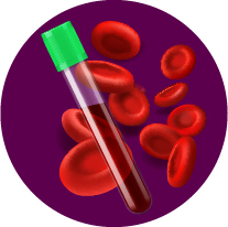 nutrition metabolism and health