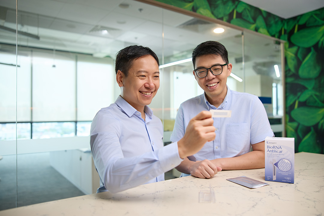 Skin Diseases and Wound Repair