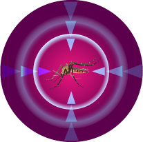 Respiratory and Infectious Diseases
