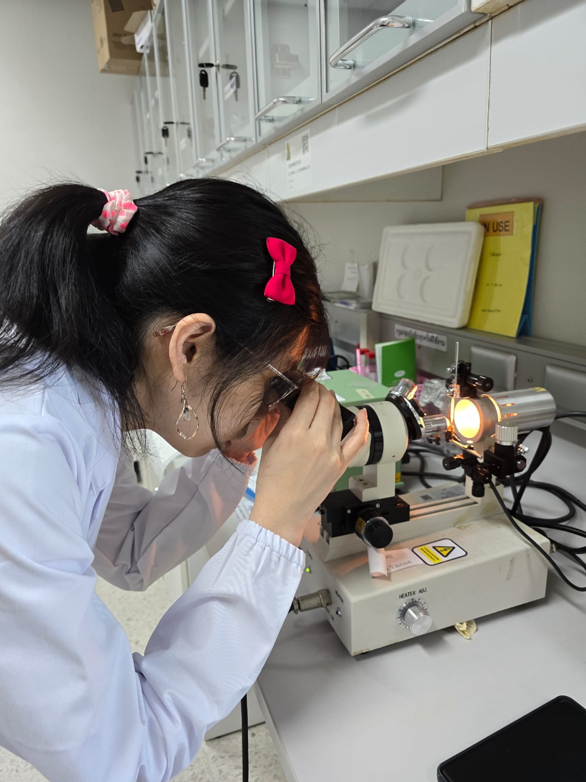 PhD Student Crystal Tang